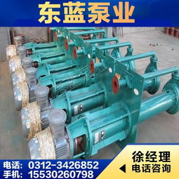 安国市东蓝水泵厂产品概览 高效可靠的工业泵解决方案